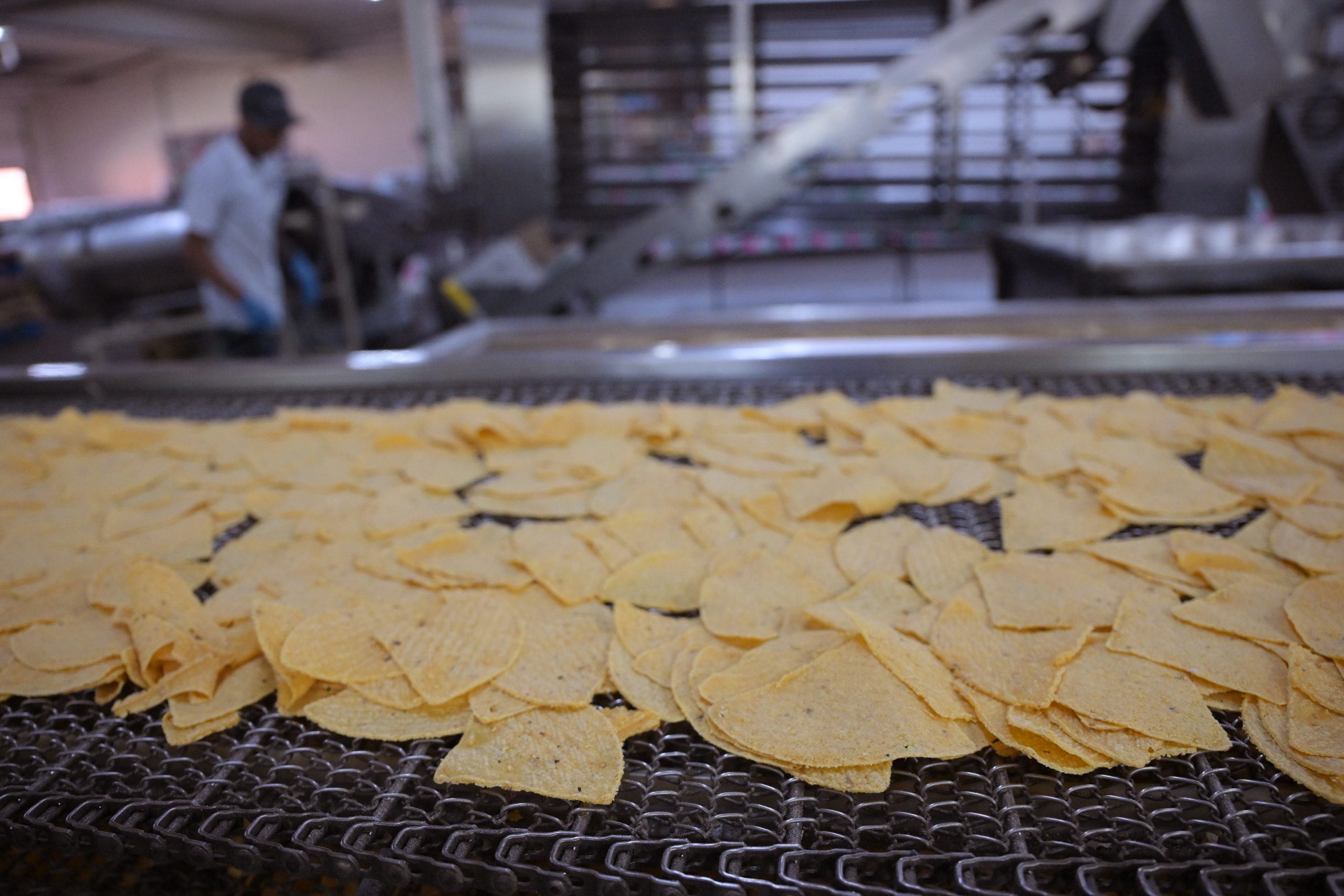 Tortillas